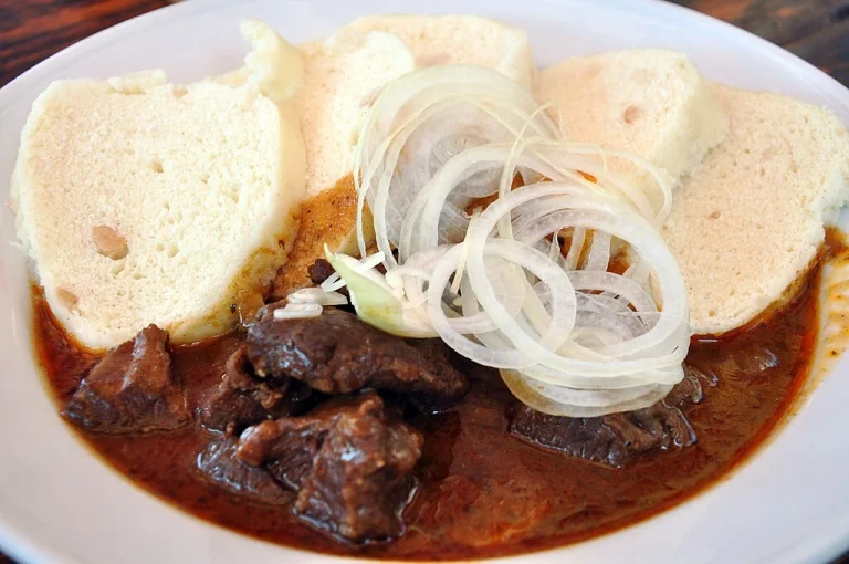 A hearty bowl of Czech beef goulash served with bread dumplings and garnished with fresh parsley.