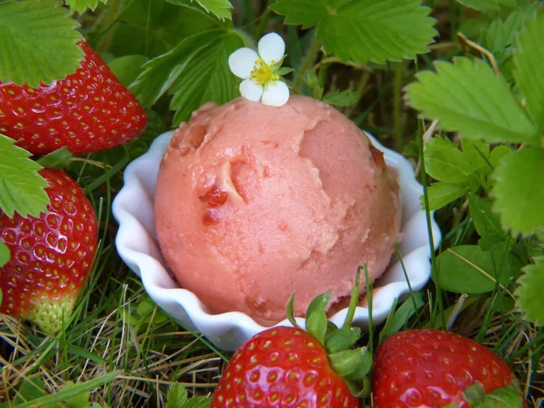 Creamy homemade strawberries and cream ice cream served in a bowl with fresh strawberry slices and mint garnish
